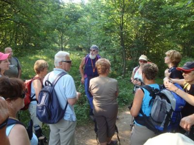 Kliknite za ogled večje slike