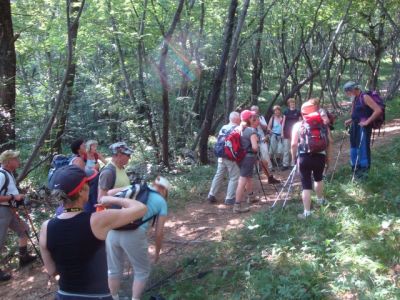 Kliknite za ogled večje slike