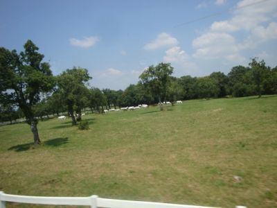 Kliknite za ogled večje slike