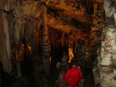 Kliknite za ogled večje slike