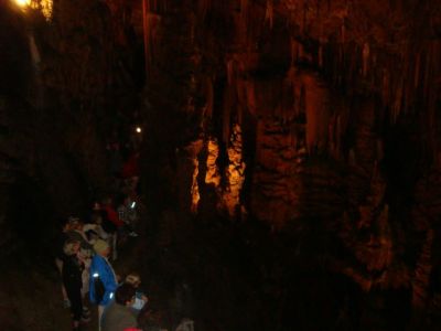 Kliknite za ogled večje slike