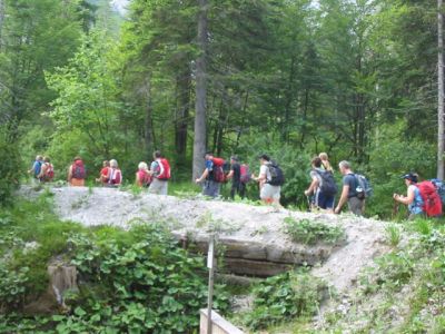 Kliknite za ogled večje slike