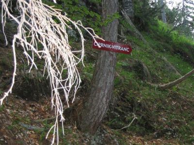 Kliknite za ogled večje slike