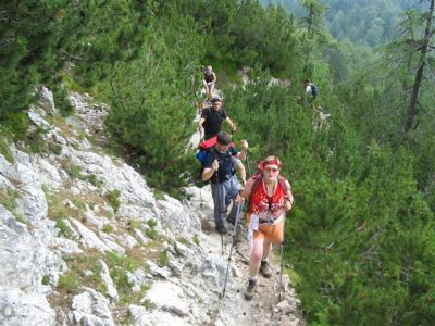 Kliknite za ogled večje slike