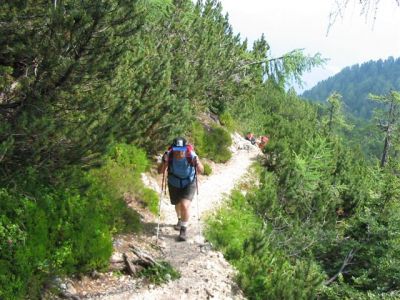 Kliknite za ogled večje slike