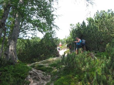 Kliknite za ogled večje slike