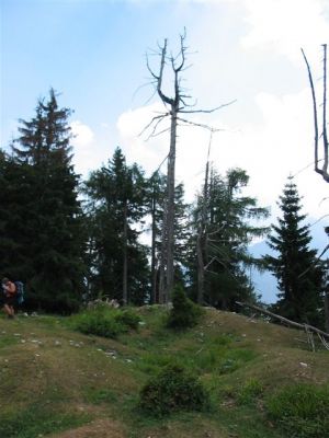 Kliknite za ogled večje slike