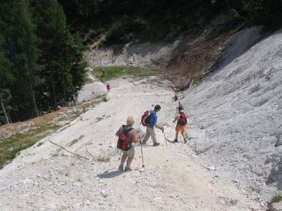 Kliknite za ogled večje slike