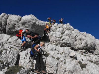 Kliknite za ogled večje slike