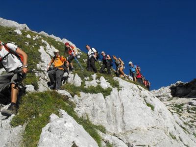 Kliknite za ogled večje slike