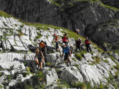 Kliknite za ogled večje slike