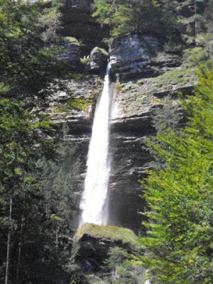 Kliknite za ogled večje slike