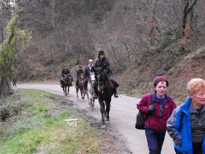 Kliknite za ogled večje slike