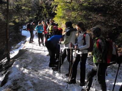 Kliknite za ogled večje slike