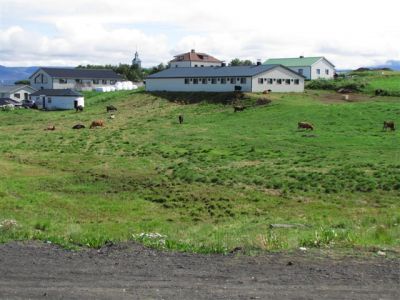 Kliknite za ogled večje slike