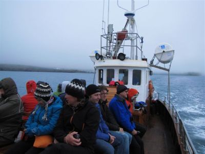 Kliknite za ogled večje slike