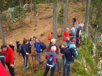 Kliknite za ogled večje slike