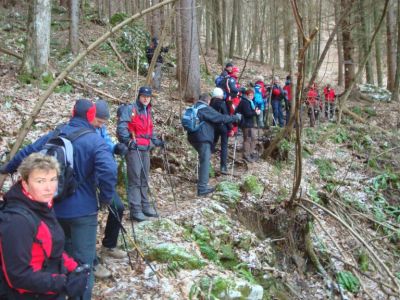 Kliknite za ogled večje slike