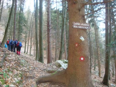 Kliknite za ogled večje slike