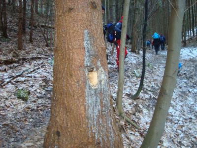 Kliknite za ogled večje slike