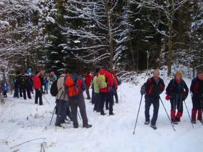 Kliknite za ogled večje slike