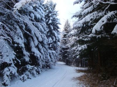 Kliknite za ogled večje slike