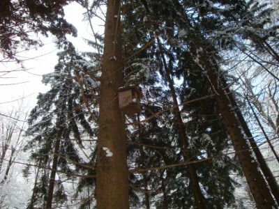 Kliknite za ogled večje slike