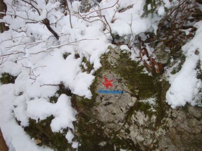 Kliknite za ogled večje slike