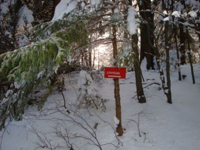 Kliknite za ogled večje slike