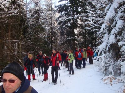 Kliknite za ogled večje slike
