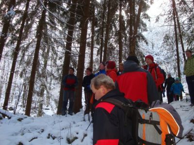 Kliknite za ogled večje slike