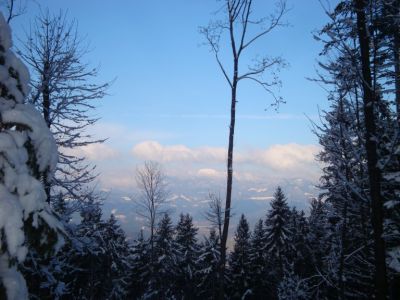 Kliknite za ogled večje slike