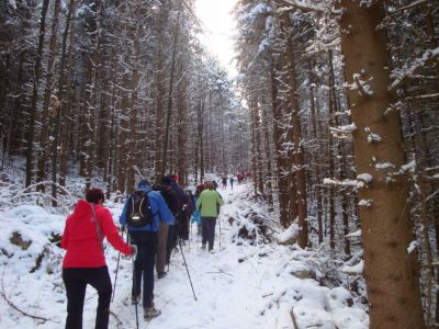 Kliknite za ogled večje slike