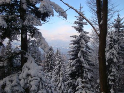 Kliknite za ogled večje slike