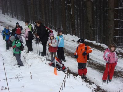 Kliknite za ogled večje slike