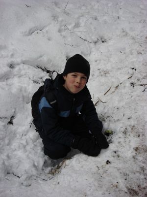 Kliknite za ogled večje slike