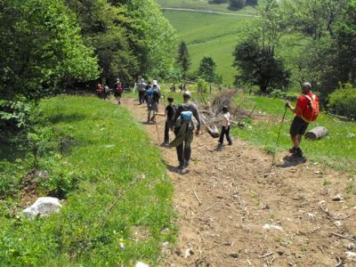 Kliknite za ogled večje slike