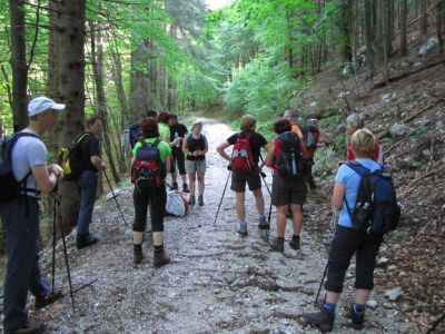 Kliknite za ogled večje slike