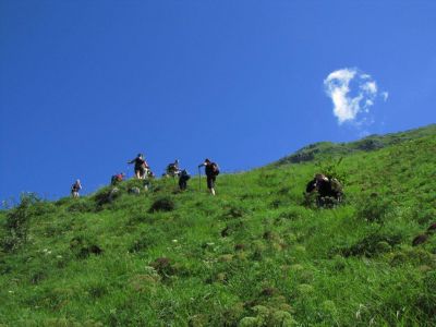 Kliknite za ogled večje slike