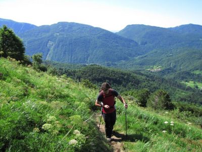 Kliknite za ogled večje slike