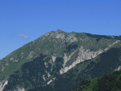 Kliknite za ogled večje slike