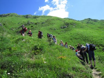 Kliknite za ogled večje slike