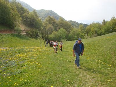 Kliknite za ogled večje slike