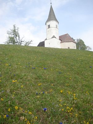 Kliknite za ogled večje slike