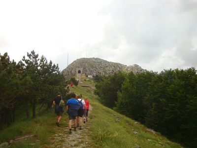 Kliknite za ogled večje slike