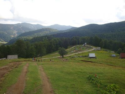 Kliknite za ogled večje slike