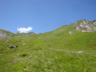 Kliknite za ogled večje slike