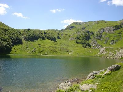 Kliknite za ogled večje slike