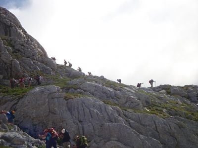 Kliknite za ogled večje slike