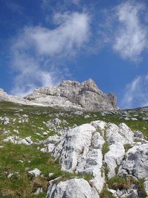 Kliknite za ogled večje slike